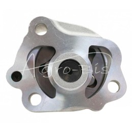 Kubota 16851-35012 LEILAND variklio alyvos siurblys - 1685135012LE