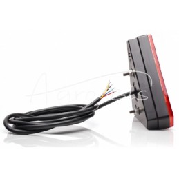 Galinis kombinuotas žibintas, 6 funkcijų, W244 12V/24V LED, atsparus vandeniui, be numerio ženklo apšvietimo, su neoniniu laidu 