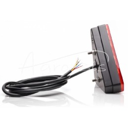 Galinis kombinuotas žibintas, 6 funkcijų, W 242 12/24V LED, atsparus vandeniui, be numerio ženklo apšvietimo, su neoniniu laidu 