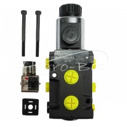 Skirstomojo vožtuvo solenoidinis krypties valdymo solenoidinis vožtuvas E38DVS6/2 G3/8" 50L ARCHIMEDES - A-E38DVS6/2-24