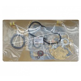 Kubota LEILAND Z750 variklio tarpinių komplektas - Z750KAM