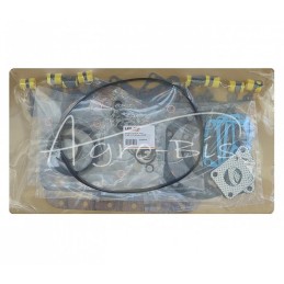 Pilnas variklio tarpiklių komplektas D1301, D1102 Kubota LEILAND - D1301AM