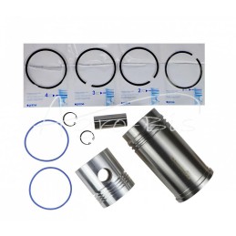 FI-102 variklio remonto komplektas 4 žiedų 69110099 Zetor ANDORIA - 70110099AM