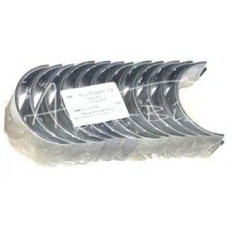 „Bizon P4 6C107“ švaistiklio guoliai - 9087016435