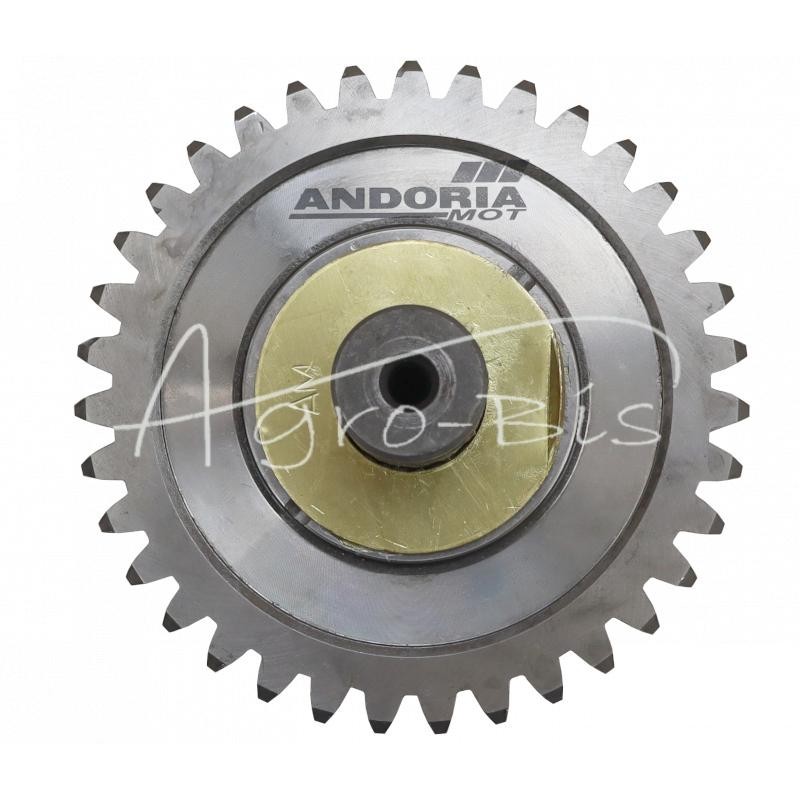 Pilnai priekinių ratų pavara „Ursus C-385 ANDORIA“ - 88175014AM