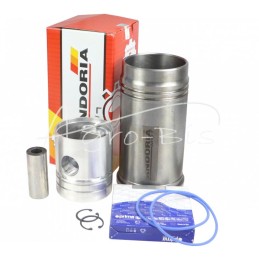 FI-100 variklio remonto komplektas 3 žiedų Zetor ANDORIA - 62110099AM