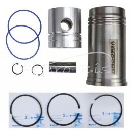 FI-100 variklio remonto komplektas 3 žiedų Zetor ANDORIA - 62110099AM