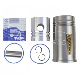 FI-100 variklio remonto komplektas 4 žiedų Zetor ANDORIA - 60110099AM