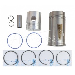 FI-100 variklio remonto komplektas 4 žiedų Zetor ANDORIA - 60110099AM