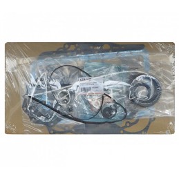 Kubota LEILAND D782 variklio tarpinių komplektas - D782KAM