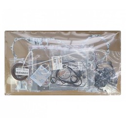 D902 Kubota variklio tarpinių komplektas 1G962-99350 LEILAND - 1G96299350AM