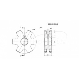 Priekinis lizdinis ratas Z-6 FI-62mm, skirtas Tytan Rolmus mėšlo kratytuvo dugno grandinei - 225905003