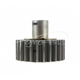 Galinės ašies palydovinė komplektinė 4 cilindrų Ursus C-385 ANDORIA - 80161005AM