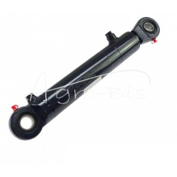 Hidraulinis cilindras - dvigubo veikimo vairo stiprintuvo cilindras 50x28x200mm plūgas, Bizon Archimedes griebtuvas - CJF-50/28