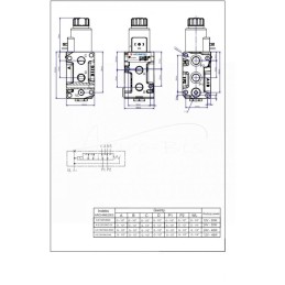 Skirstomojo vožtuvo solenoidinis krypties valdymo solenoidinis vožtuvas E12DVS6/2-80L G1/2" 80L ARCHIMEDES - A-E12DVS6/2-8024