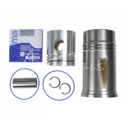 3 žiedų variklio remonto komplektas Proxima, Forterra Turbo Zetor ANDORIA - 54000992AM