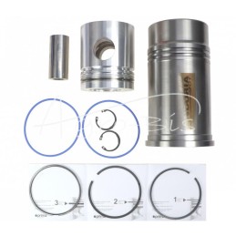 3 žiedų variklio remonto komplektas Proxima, Forterra Turbo Zetor ANDORIA - 54000992AM