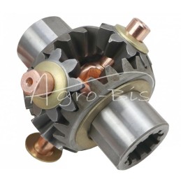 Galinio diferencialo remonto komplektas Ursus C-330 ANDORIA - 50013120.1AM