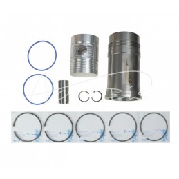 FI-105 Zetor K-25 ANDORIA remonto komplektas - 25110099AM