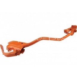 Ilgas, išlenktas kairysis noragėlis Amazone sėjamajai - 3585400