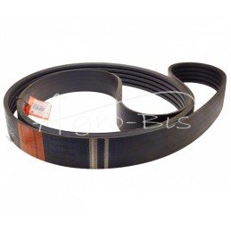 Penkių eilių V formos diržas 5B BP/H-4860 070952 Harvest CL-070952 bClaas Jaguar red Stomil - 5HBx4860H