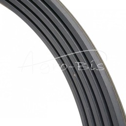 Penkių eilių V formos diržas 5B BP/H-4860 070952 Harvest CL-070952 bClaas Jaguar red Stomil - 5HBx4860H