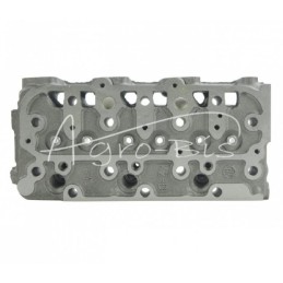 Kubota D1305 galvutė - D1305