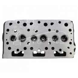 D722 variklio galvutė su netiesioginiu įpurškimu Mitsubishi 1J092-03040 LEILAND - 1J09203040AM