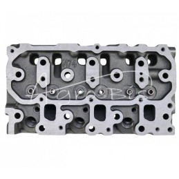 Cilindro galvutė 3TMN72 netiesioginio įpurškimo Yanmar 119C10-11750 LEILAND - 119C1011750AM