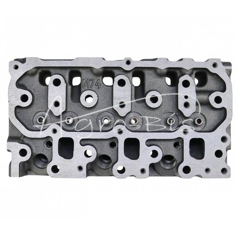 Cilindro galvutė 3TMN72 netiesioginio įpurškimo Yanmar 119C10-11750 LEILAND - 119C1011750AM