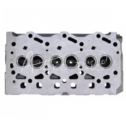 Cilindro galvutė 3TMN72 netiesioginio įpurškimo Yanmar 119C10-11750 LEILAND - 119C1011750AM