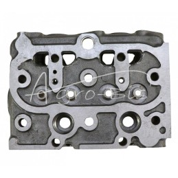 Variklio galvutė Z602 netiesioginio įpurškimo Kubota 1G460-03046 LEILAND - 1G46003046AM