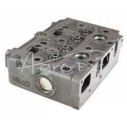 Variklio galvutė Z602 netiesioginio įpurškimo Kubota 1G460-03046 LEILAND - 1G46003046AM