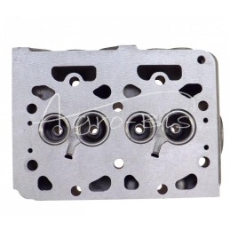 Variklio galvutė Z602 netiesioginio įpurškimo Kubota 1G460-03046 LEILAND - 1G46003046AM