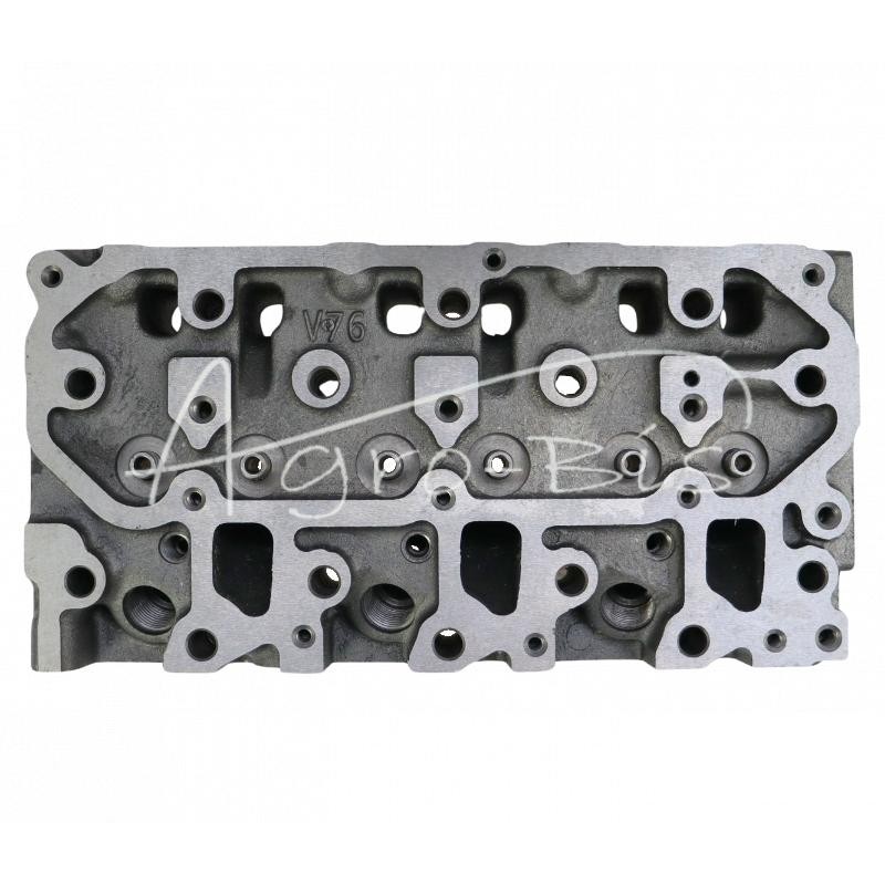 Cilindro galvutė 3TNV76 tiesioginio įpurškimo Yanmar 119746-11740 LEILAND - 11974611740AM