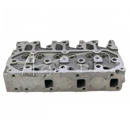 Cilindro galvutė 3TNV76 tiesioginio įpurškimo Yanmar 119746-11740 LEILAND - 11974611740AM