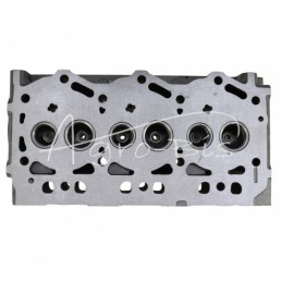 Cilindro galvutė 3TNV76 tiesioginio įpurškimo Yanmar 119746-11740 LEILAND - 11974611740AM