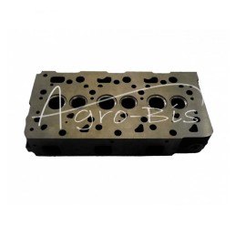 Kubota D1005 galvutė - 16225-03042