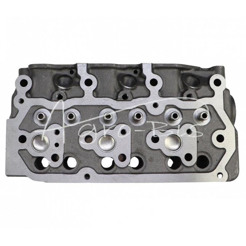 S3L variklio galvutė su netiesioginiu įpurškimu Mitsubishi 31B012-1020 LEILAND - 31B0121020AM