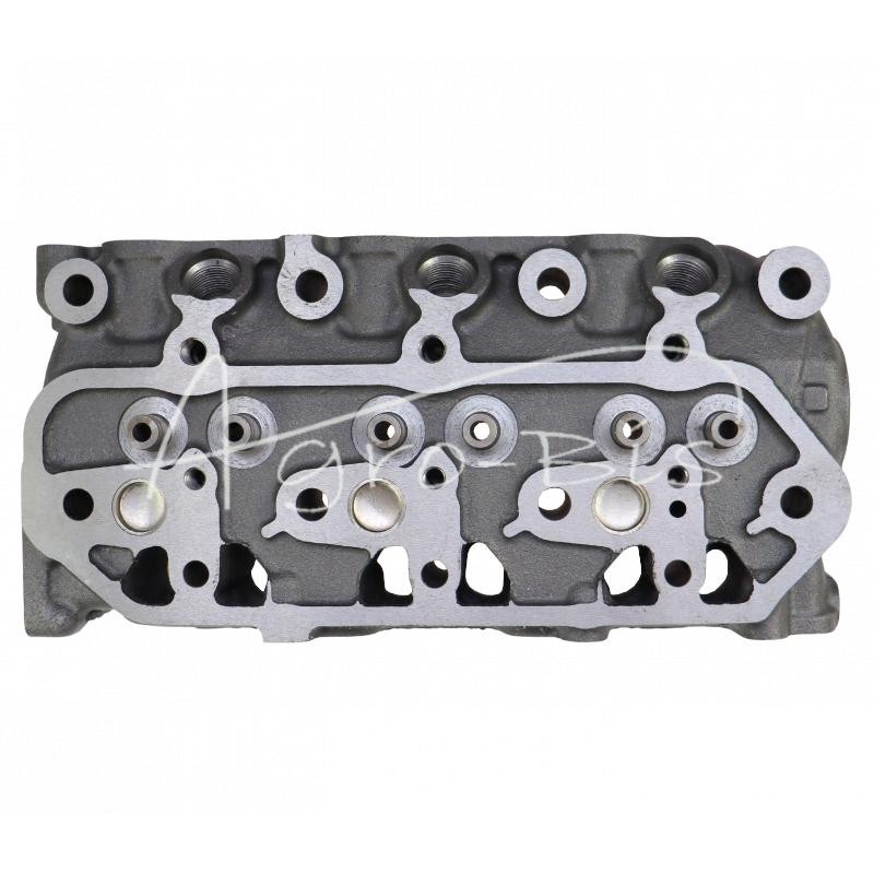 L3E variklio galvutė su netiesioginiu įpurškimu Mitsubishi 30L01-01040 LEILAND - 30L0101040AM