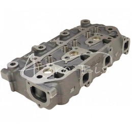 L3E variklio galvutė su netiesioginiu įpurškimu Mitsubishi 30L01-01040 LEILAND - 30L0101040AM