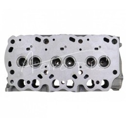 L3E variklio galvutė su netiesioginiu įpurškimu Mitsubishi 30L01-01040 LEILAND - 30L0101040AM