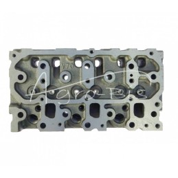 Yanmar 3TNV70 variklio galvutė - 3TNV70