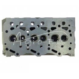 Yanmar 3TNV70 variklio galvutė - 3TNV70