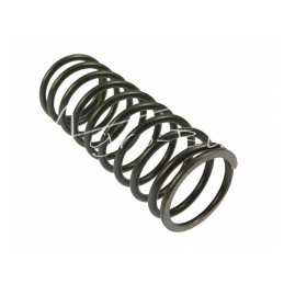 5 vnt - Vidinė vožtuvo spyruoklė 50505070, 950507, užsandarinta „Zetor Ursus C-360“ „Premium ANDORIA“ - 5050507AM