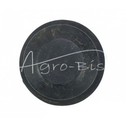 5 vnt - „Zetor“ priekinės ašies laikiklio kaištis - 62113311