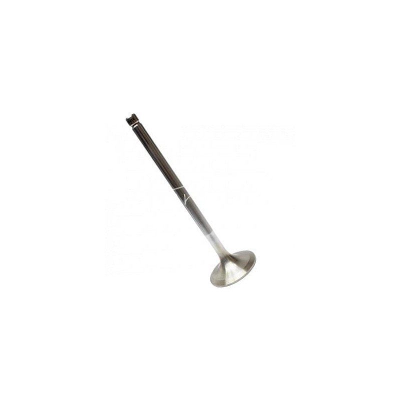 5 vnt - SW-400 Bizon Turbo variklio išmetimo vožtuvas - PLA2585K