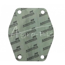 5 vnt - Vandens siurblio cilindro bloko tarpinė Circulite 0.8mm MF3 Ursus C-360 3P ANDORIA - 0941183AM/