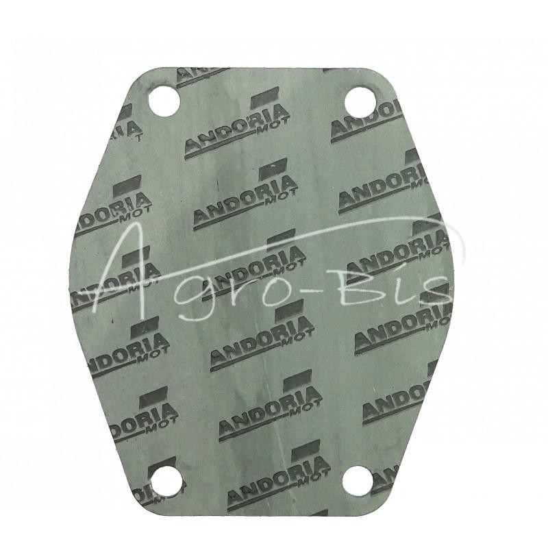 5 vnt - Vandens siurblio cilindro bloko tarpinė Circulite 0.8mm MF3 Ursus C-360 3P ANDORIA - 0941183AM/