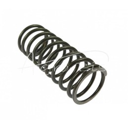 5 vnt - Vidinė vožtuvo spyruoklė 50505070, 950507, užblokuota, su gruntu, Zetor Ursus C-360 Premium ANDORIA - 50505070AM/